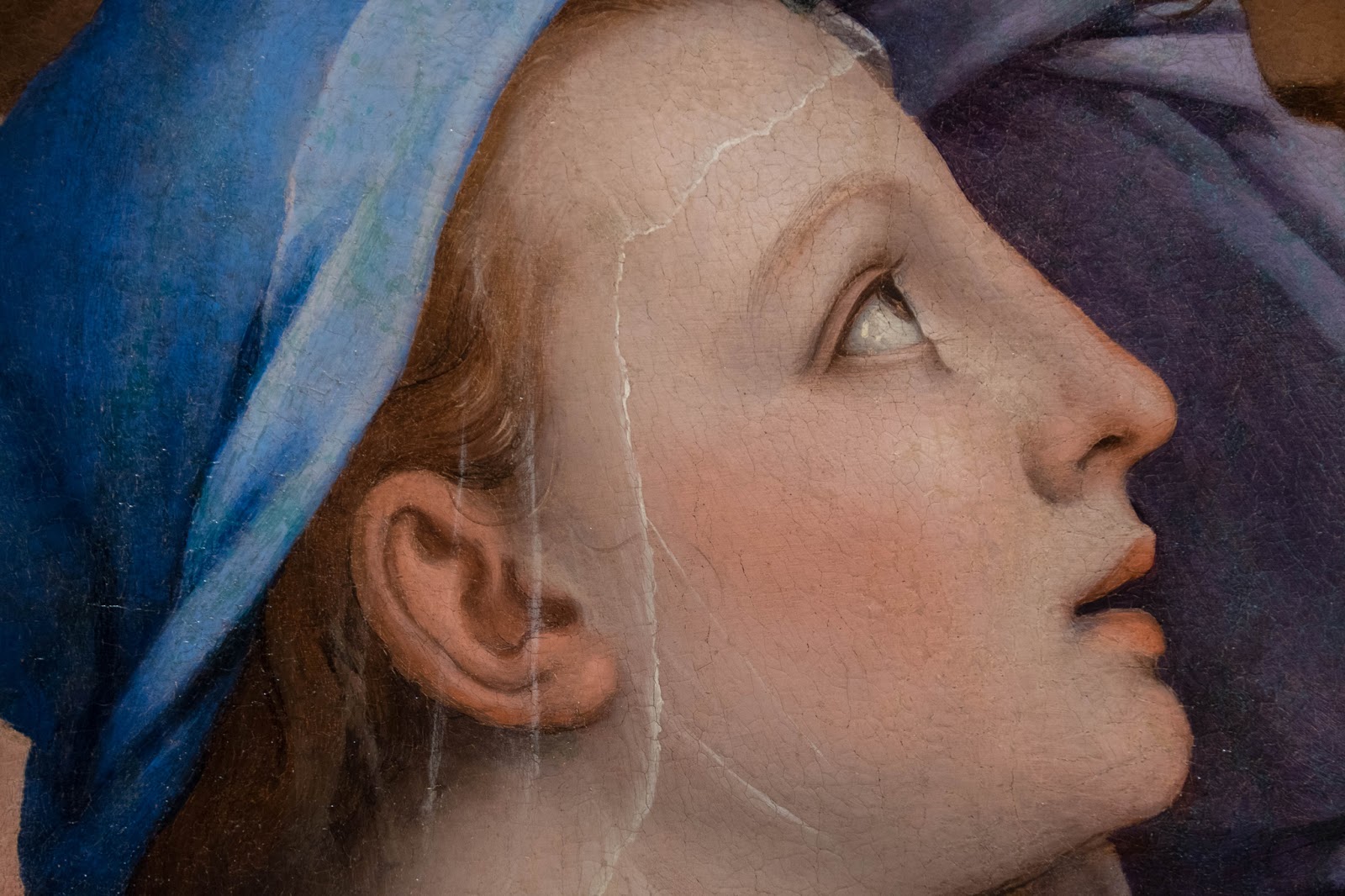 Agnolo+Bronzino-1503-1572 (12).jpg